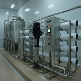 双级反渗透纯净水设备